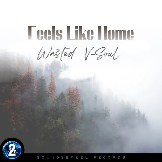Feels Like Home by Wasted, V-SouL - Hardstyle cover art