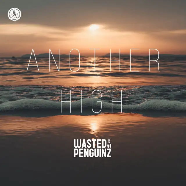 Another High by Wasted Penguinz - Hardstyle cover art
