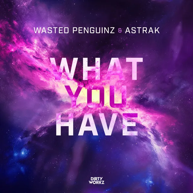 What You Have by Wasted Penguinz, Astrak - Hardstyle cover art