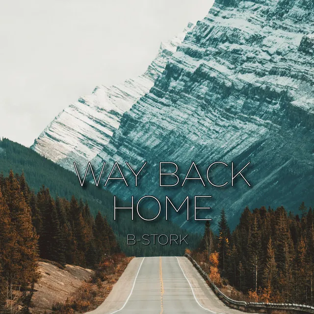 Cover art of Way Back Home