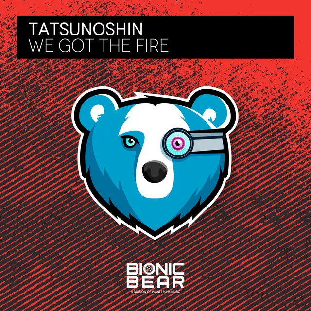 Cover art of We Got the Fire