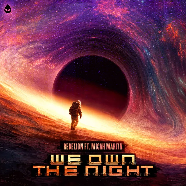 Cover art of We Own The Night