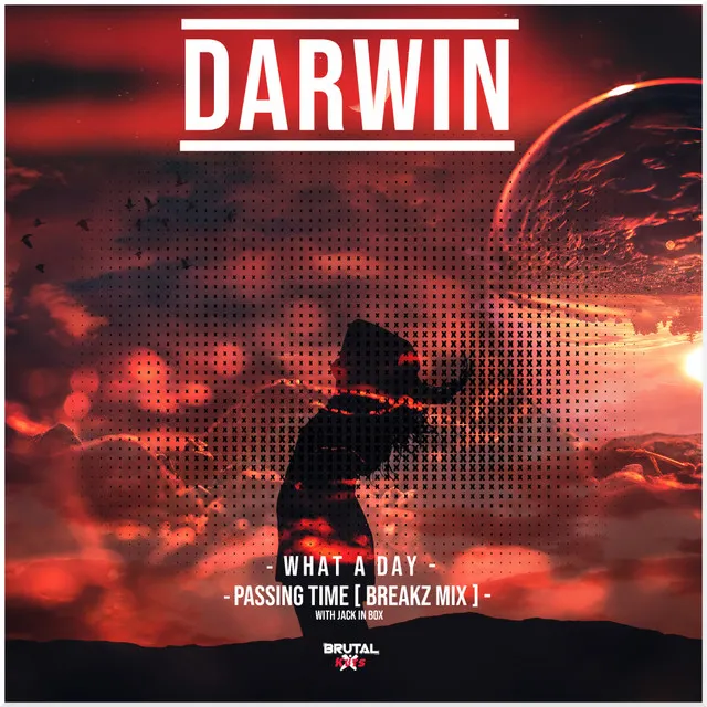 Cover art of What A Day