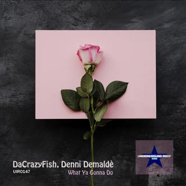 Cover art of What Ya Gonna Do