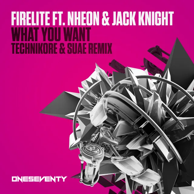 Cover art of What You Want