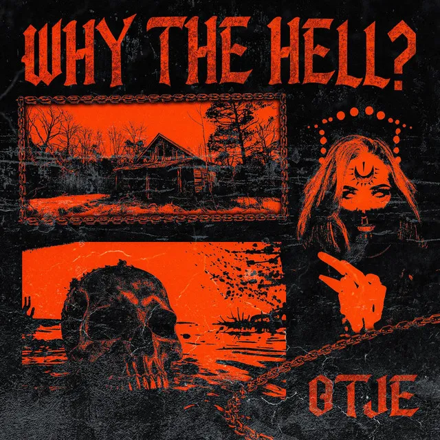 Cover art of WHY THE HELL?