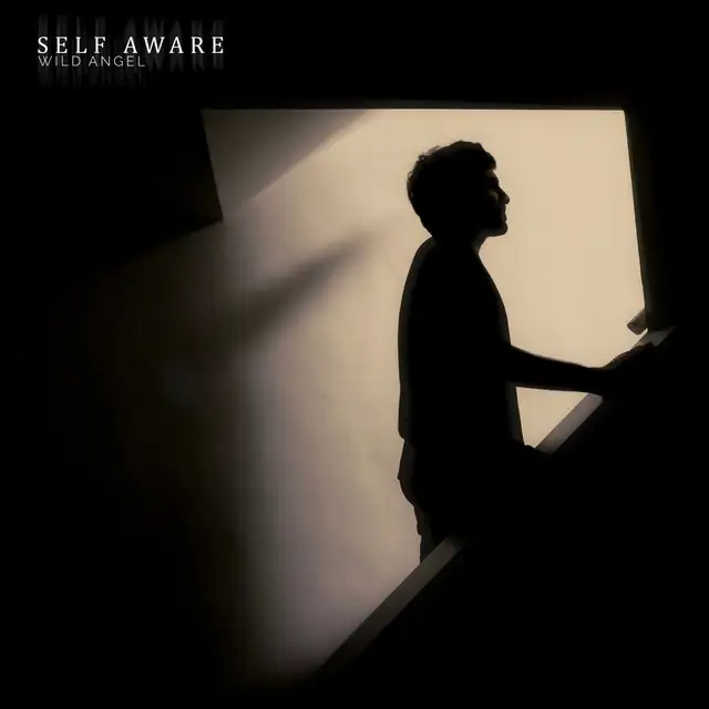 Self Aware - Hardstyle by Wild Angel - Hardstyle cover art