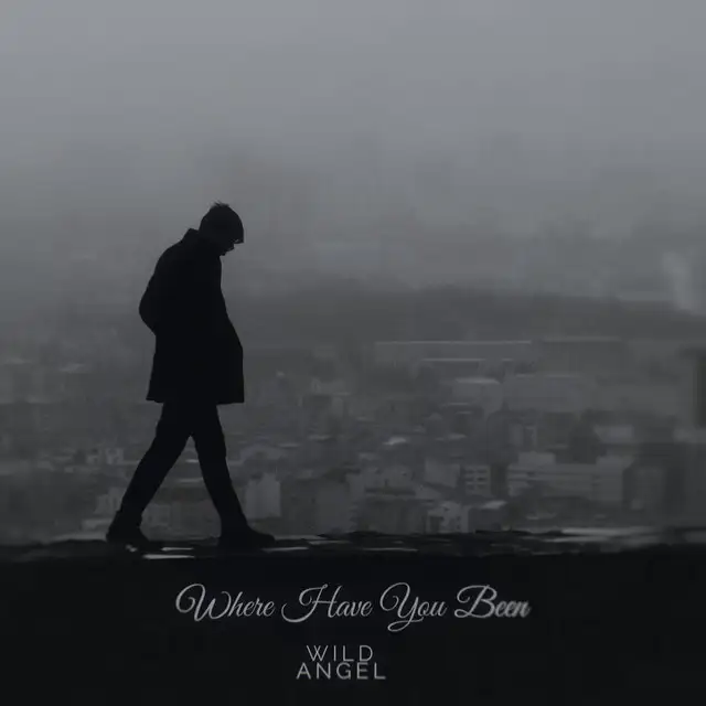 Where Have You Been - Hardstyle by Wild Angel - Hardstyle cover art