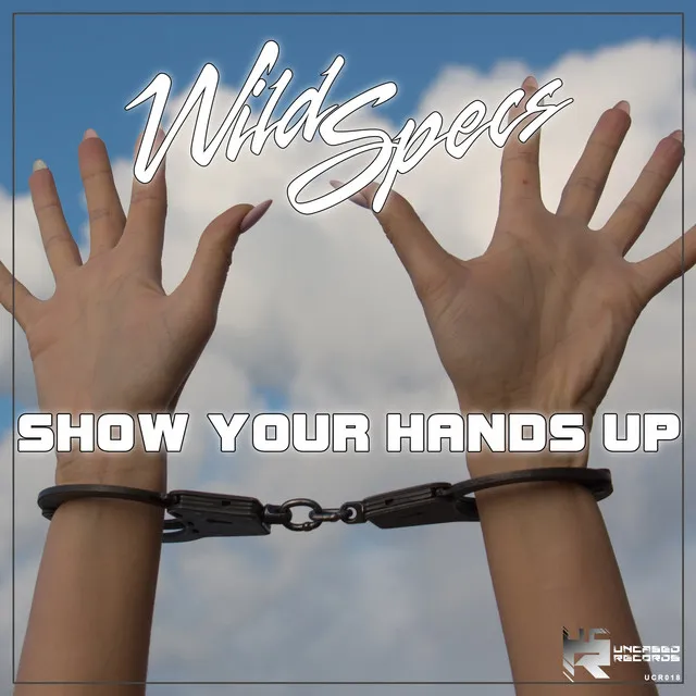 Show Your Hands Up - Extended Mix by Wild Specs - Hardstyle cover art