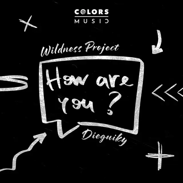 How Are You? by Wildness Project, Dieguiky - Hardstyle cover art