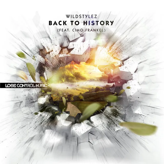Back To History (Intents Theme 2013) - Radio Edit by Wildstylez, Cimo Fränkel - Euphoric Hardstyle cover art