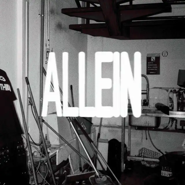 ALLEIN (SCHRANZ REWORK) by William Luck - Hard Techno cover art