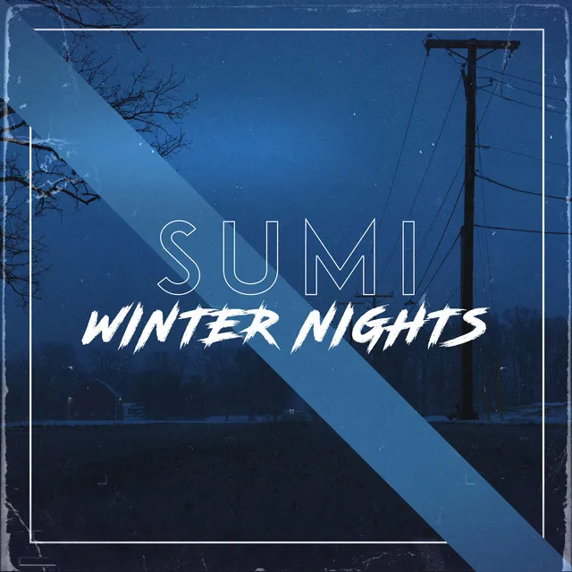 Cover art of Winter Nights