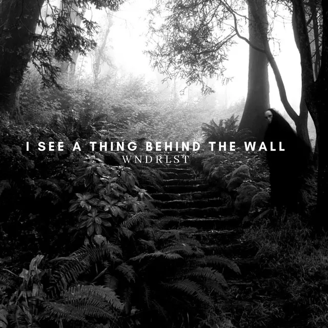 I See a Thing Behind the Wall by WNDRLST - Hard Techno cover art