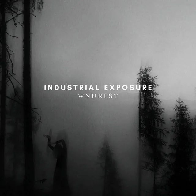 Industrial Exposure by WNDRLST - Hard Techno cover art