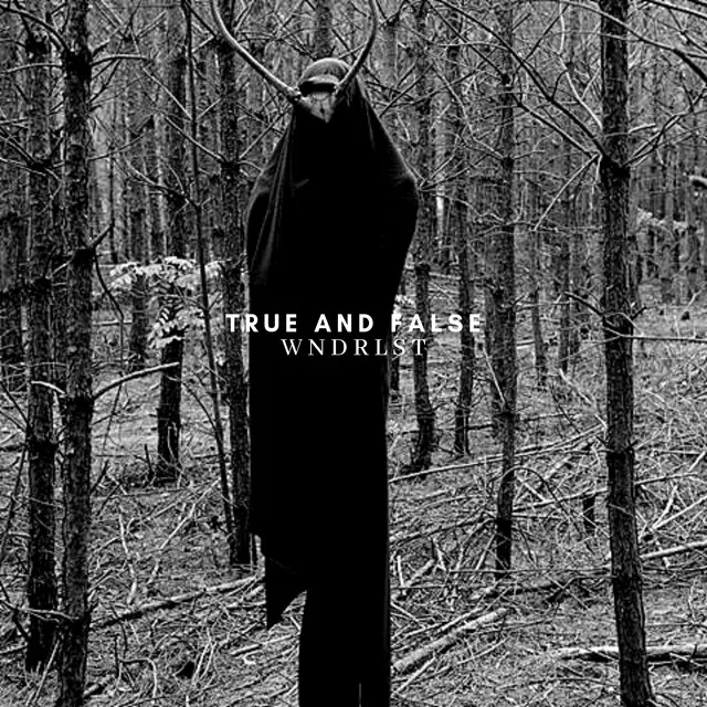 True and False by WNDRLST - Hard Techno cover art