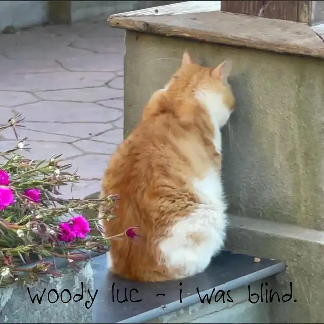 i was blind. by Woody Luc - Hardstyle cover art