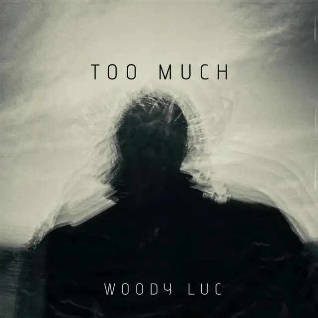 Too Much by Woody Luc - Hardstyle cover art