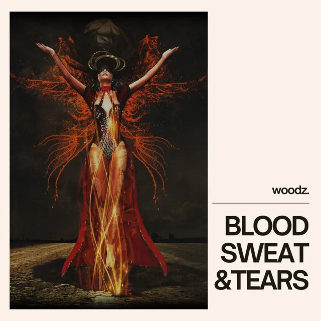 Blood, Sweat and Tears by Woodz. - Hardstyle cover art