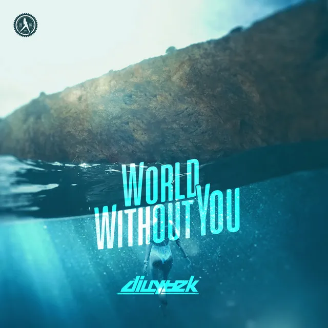 Cover art of World Without You