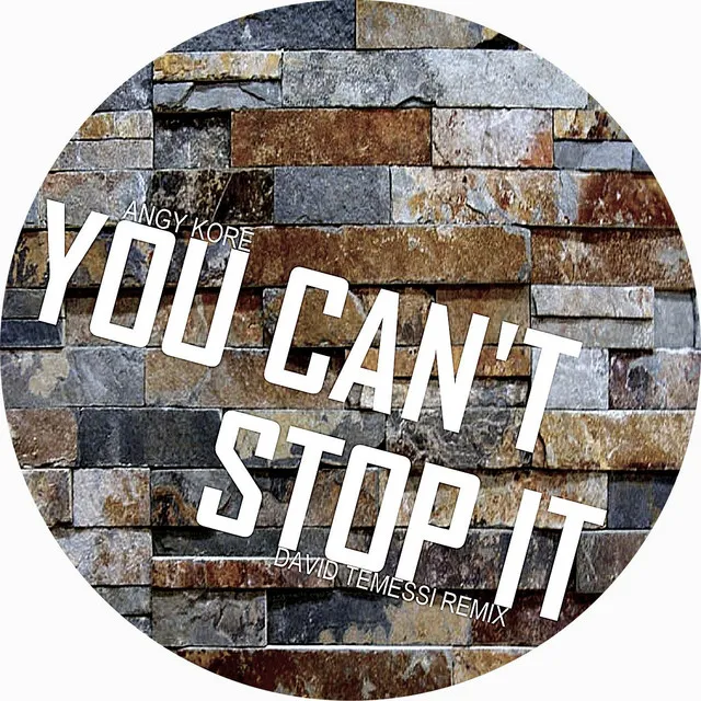 Cover art of You Can't Stop It