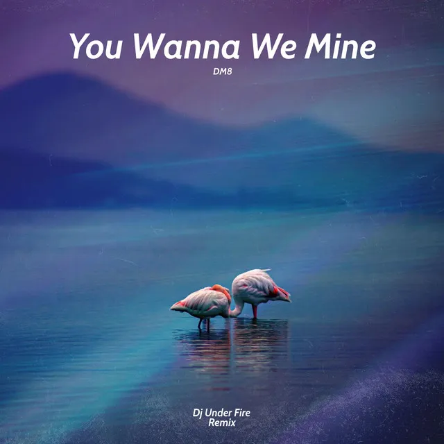 Cover art of You Wanna We Mine (Dj Under Fire Remix)