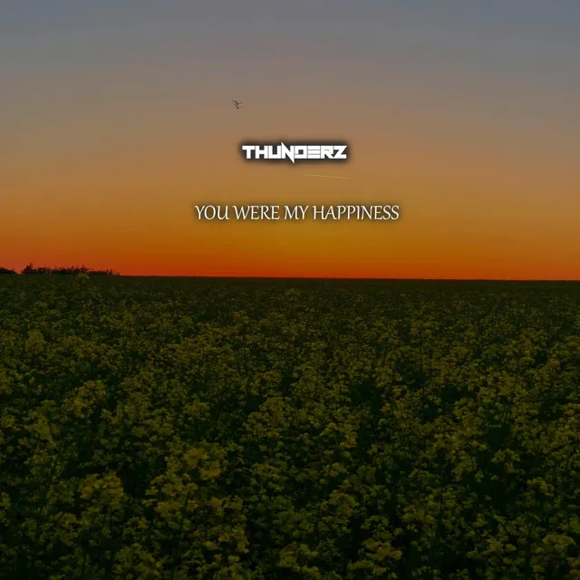 Cover art of You Were My Happiness