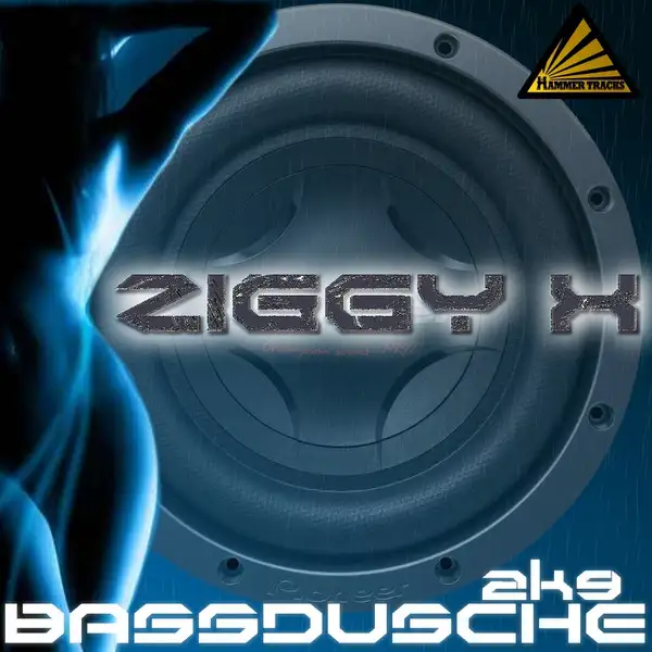 Bassdusche 2K9 - Bangbros Remix Radio Cut by ZIGGY X - Happy Hardcore cover art